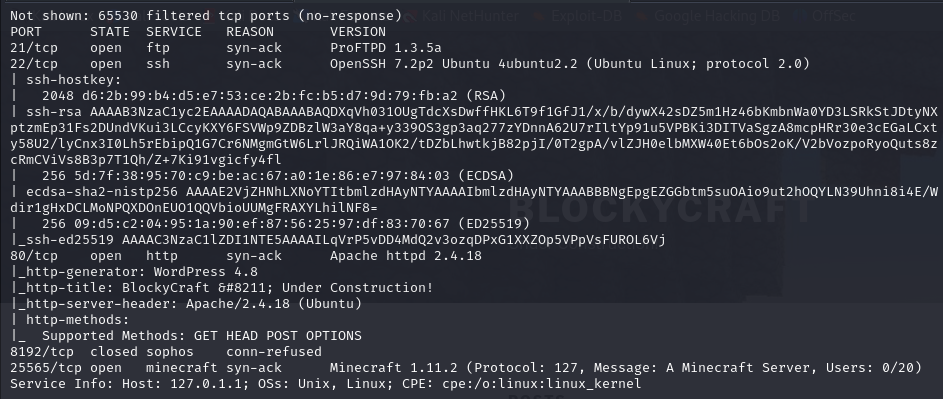 nmap-result